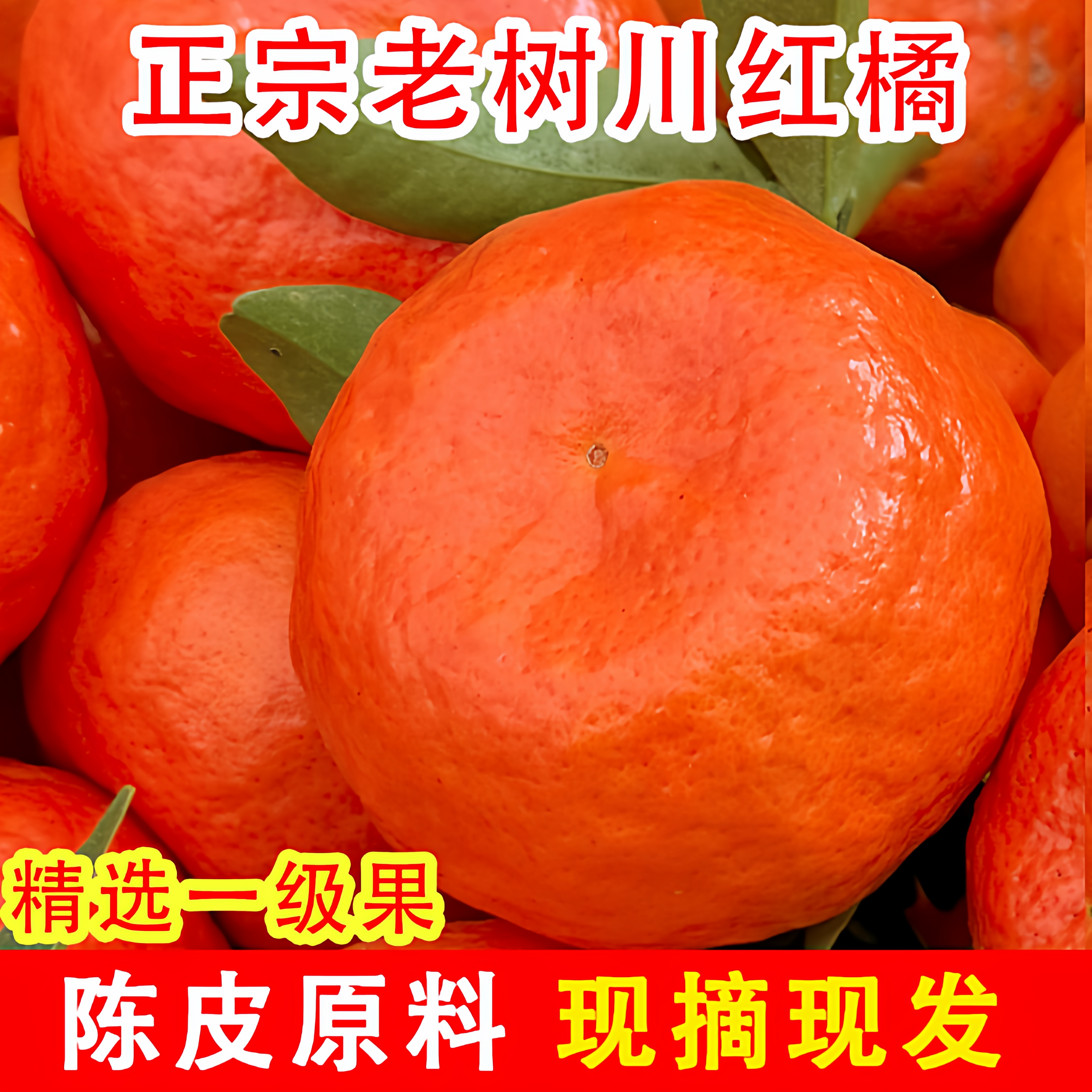 川红桔新鲜水果万州大红袍橘陈皮