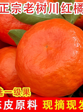 万州古红桔当季新鲜水果重庆老树川红橘子陈皮孕妇水果四川红橘柑