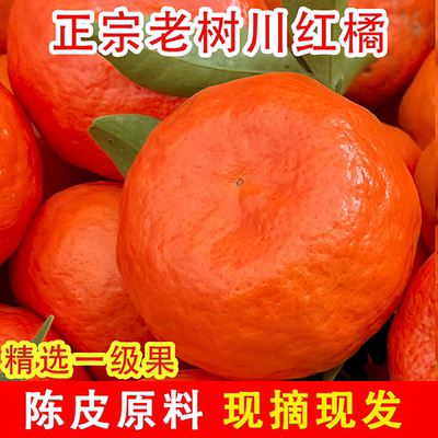 川红桔新鲜水果万州大红袍橘陈皮