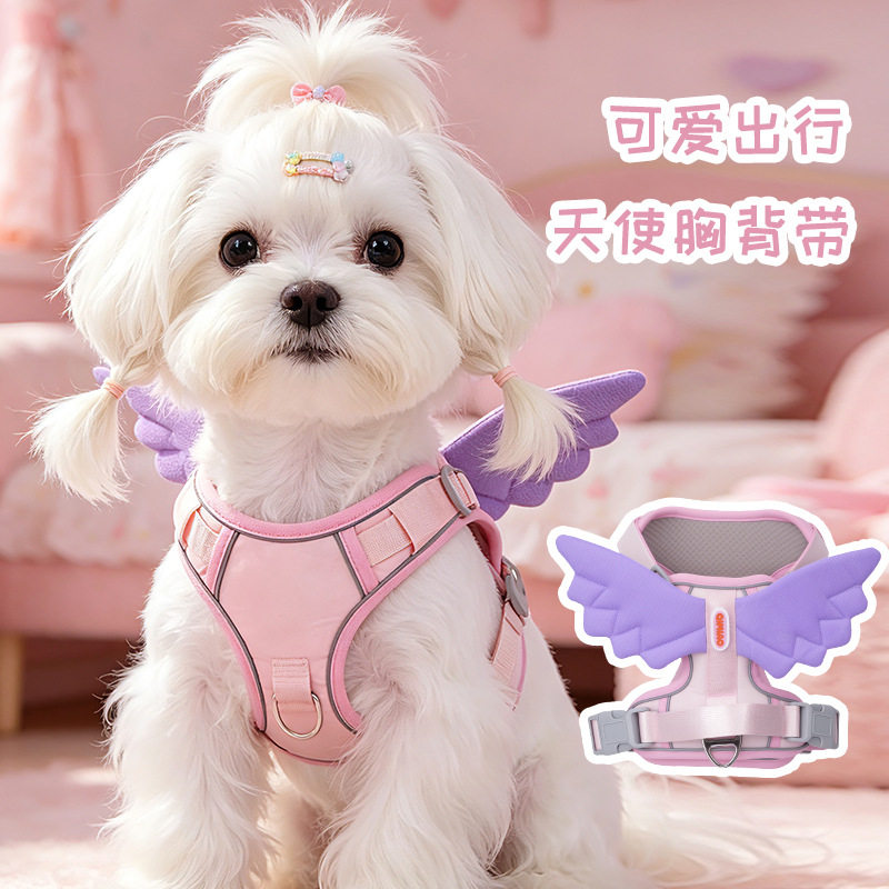 狗狗胸背天使翅膀牵引绳