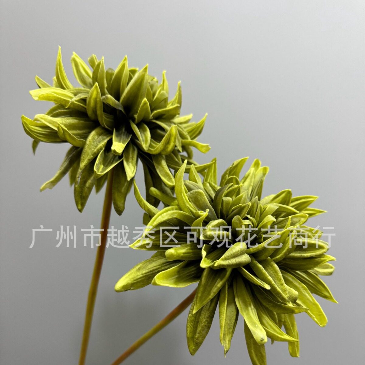 仿真单支PU大丽花紫兰花