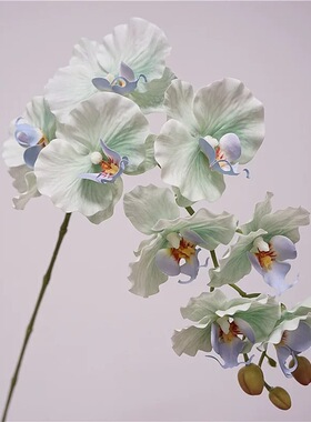 9头欧式蝴蝶兰家居装饰花