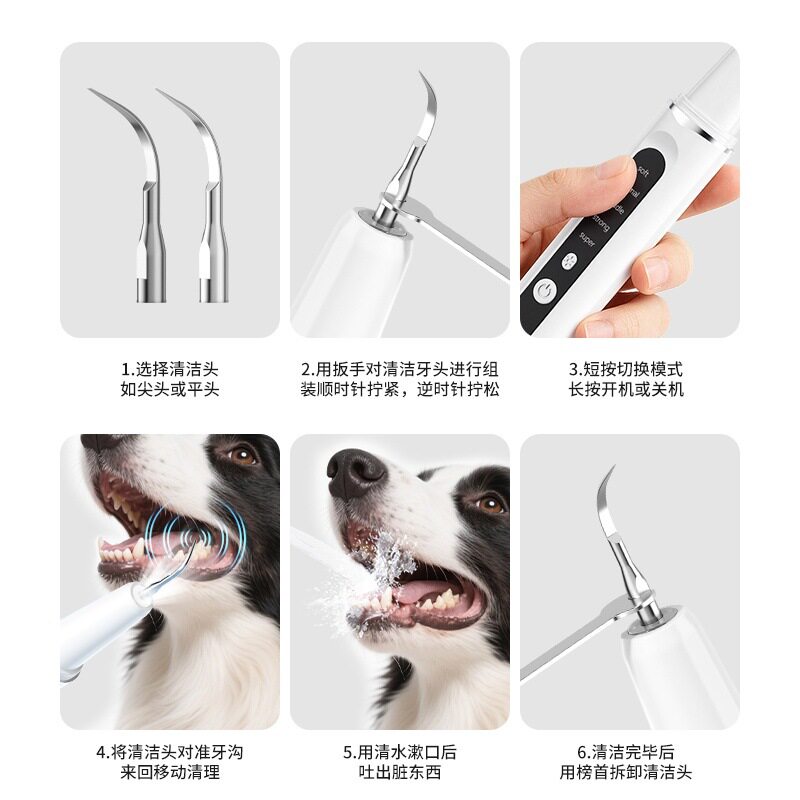 超声波洁牙器可视宠物全