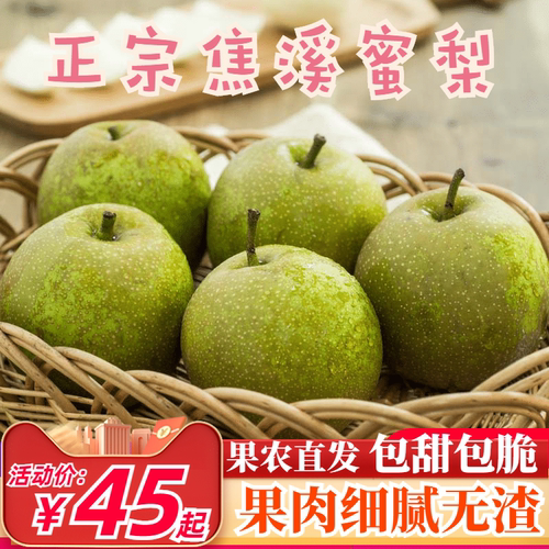 常州正宗焦溪蜜梨丹丹翠冠梨82梨新鲜时令现摘水果