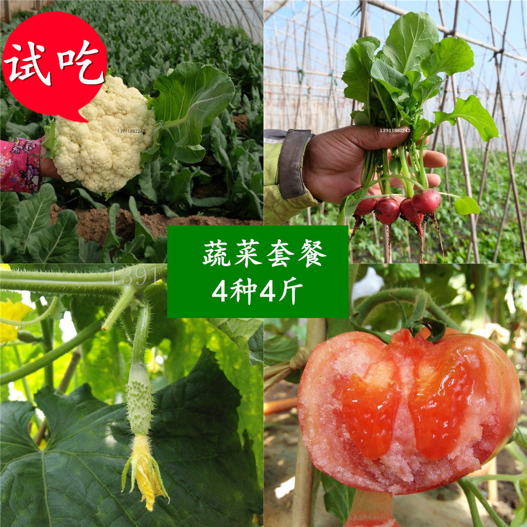 北京农家自种蔬菜青菜生鲜混合水果沙拉蔬菜新鲜当季春季素菜顺丰
