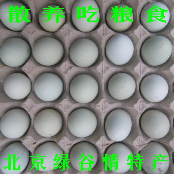 北京平谷散养乌鸡蛋新鲜到家