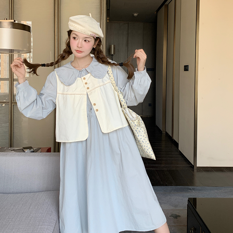 【新款现货】蓝色两件套连衣裙102-210-P145-K198，女装连衣裙，浙宝102（原188）