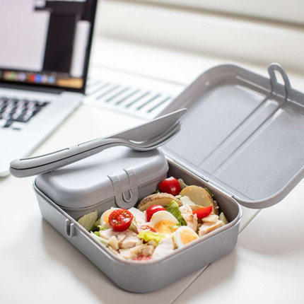 餐盒德国进口koziol有机材质