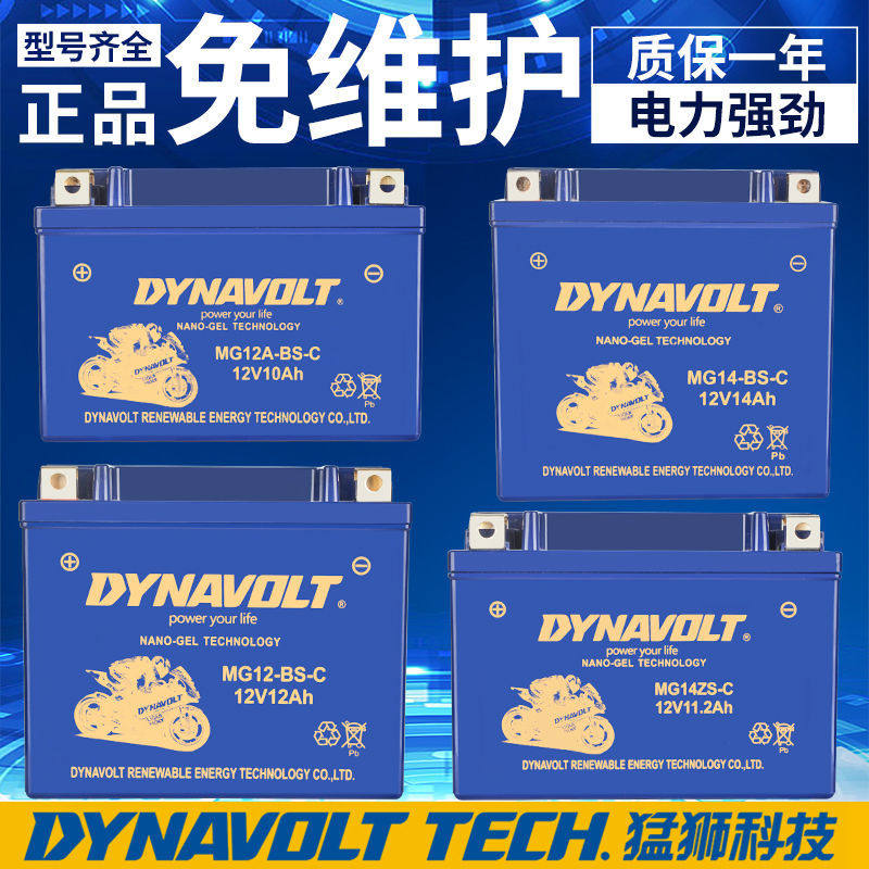 春风动力400NK650猛狮摩托车电瓶150MK250国宾12V电池DYNAVOLT
