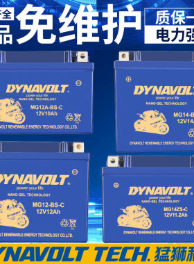 春风动力400NK650猛狮摩托车电瓶150MK250国宾12V电池DYNAVOLT