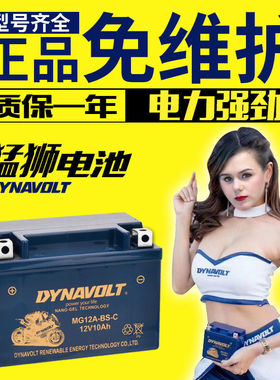 猛狮125摩托车电瓶12v免维护蓄电池铃木踏板车7a9a通用干电瓶