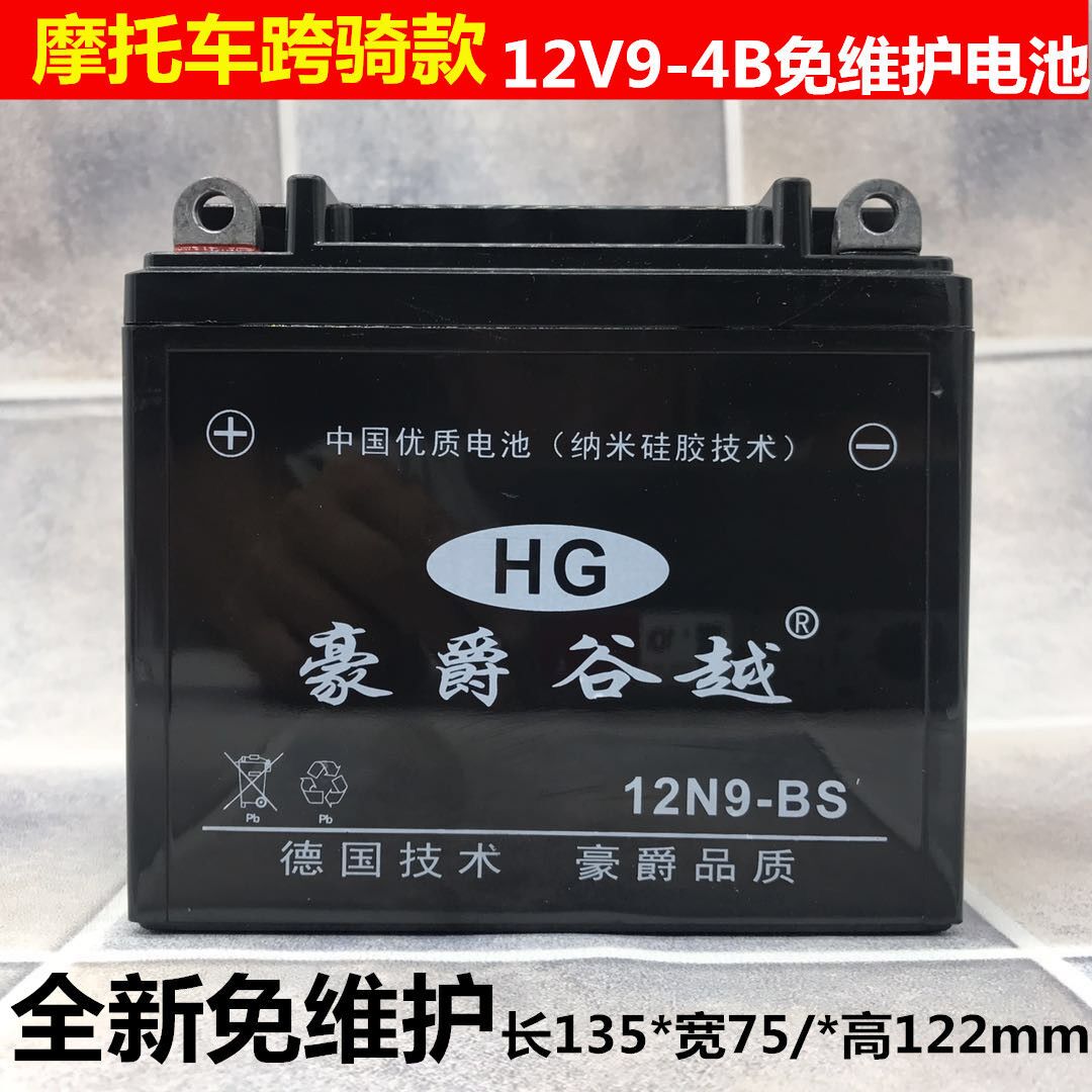 摩托车电瓶12v9a通用铃木王钻豹