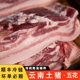 云南新鲜五花土猪肉正宗农家喂养黑猪肉新鲜现杀后腿肉跑山猪肉排