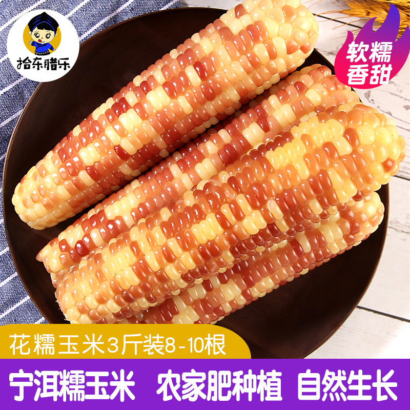 云南小花糯玉米西双版纳小包谷真空包装新鲜即食宁洱甜糯香玉米棒