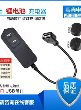 USB母头4.2V5V6V7.4V8.4V12.6V16.8V18V21V25.2V1A2A锂电池充电器