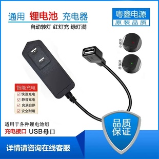 USB母头4.2V5V6V7.4V8.4V12.6V16.8V18V21V25.2V1A2A锂电池充电器