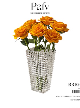 Plife·Bright·花瓶摆件客厅插花玻璃透明水养轻奢高级感 | 璀璨