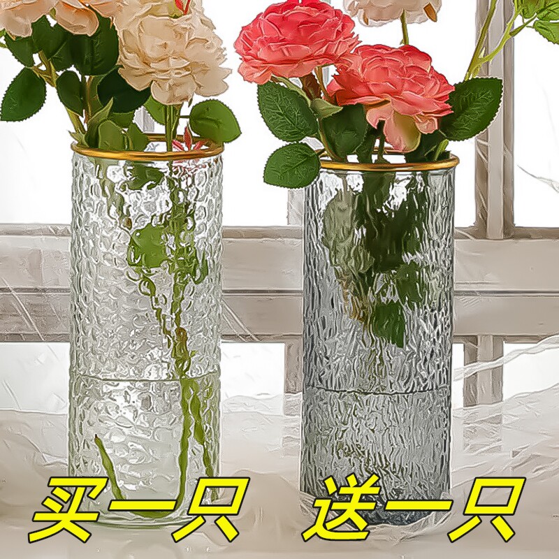 直筒透明玻璃花瓶桌面插花水养干花鲜花花瓶ins风富贵竹客厅摆件