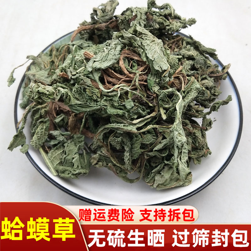 癞蛤蟆草新鲜干货河南正品蛤蟆草