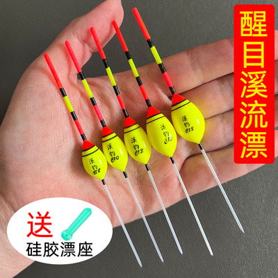 粗尾醒目纳米浅水漂石斑漂