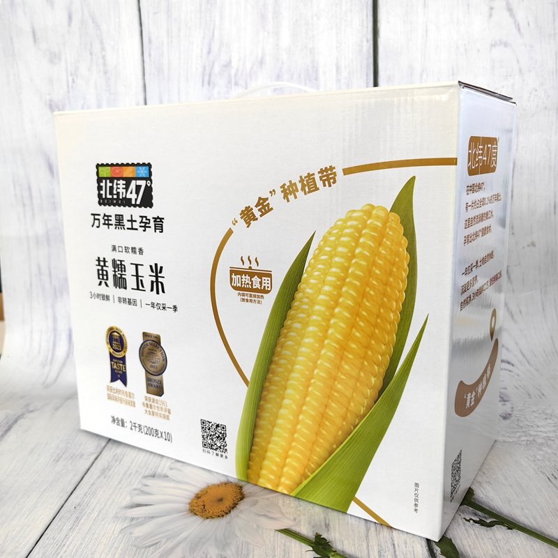 北纬47°黄糯玉米整箱10支软糯香甜玉米早餐粗粮代餐玉米200g/根