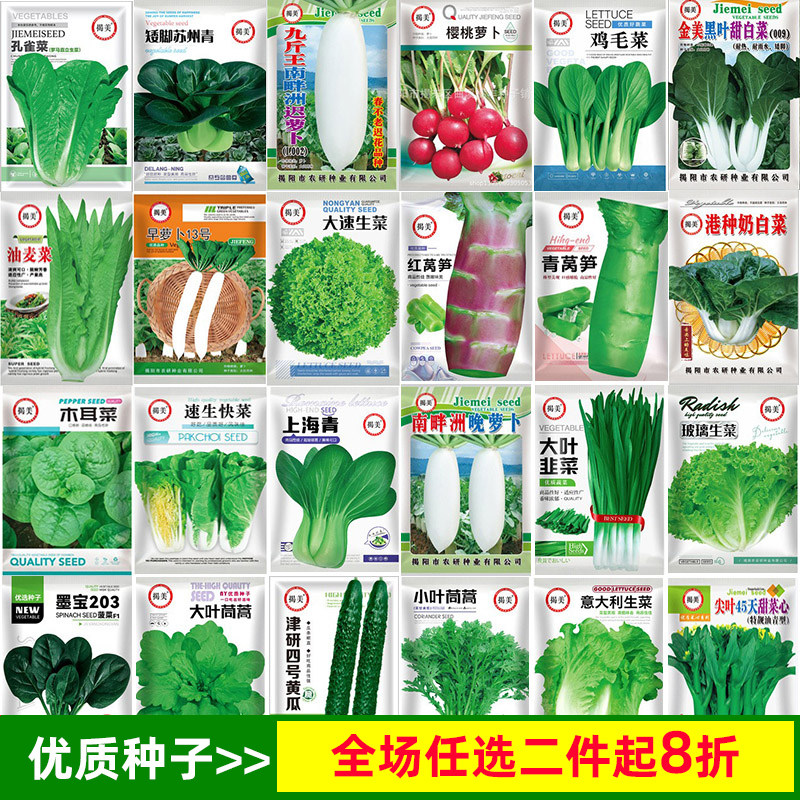 原装四季播蔬菜种子大全黄丝南西瓜生菜辣椒番茄空心白菜豆角籽孑