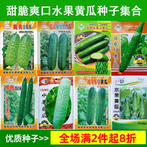 水果黄瓜节节瓜种子好吃发率高产