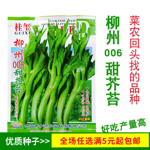 柳州6号甜芥苔种子高产品质佳