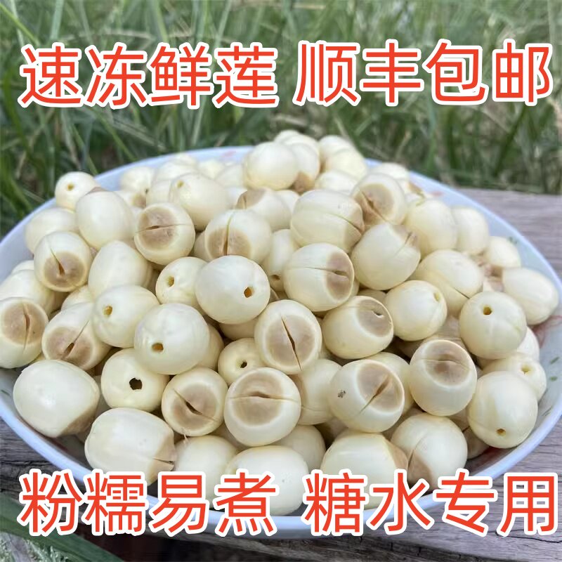 新鲜莲子速冻鲜莲粉糯糖水专用