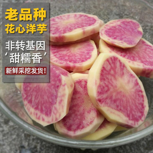 云南丽江七彩土豆满满花青素