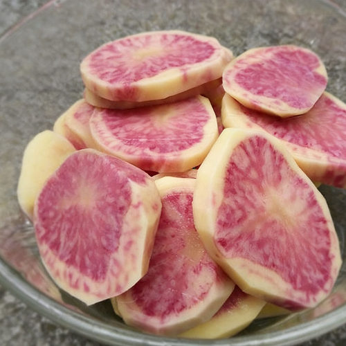 云南丽江七彩土豆满满花青素