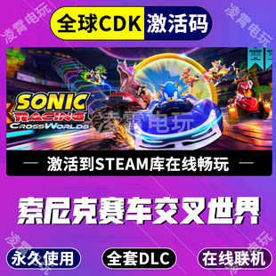 全球区激活码 Steam游戏索尼克赛车 Racing Sonic CDK 交叉世界