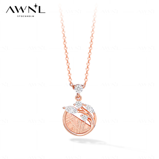 AWNL北欧M陨石生命树项链女款 锁骨链小众饰品礼物送礼