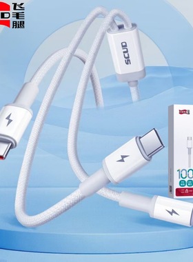 飞毛腿PD100W充电线TYPE-C一拖二type-c to Lightning适用苹果小米华为超级快充数据线