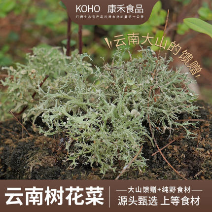 云南树花菜特产干货深山大自然纯野美味食材凉拌菜思茅菜