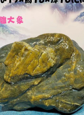 29天然原石收藏石九龙璧奇石奇石带底座