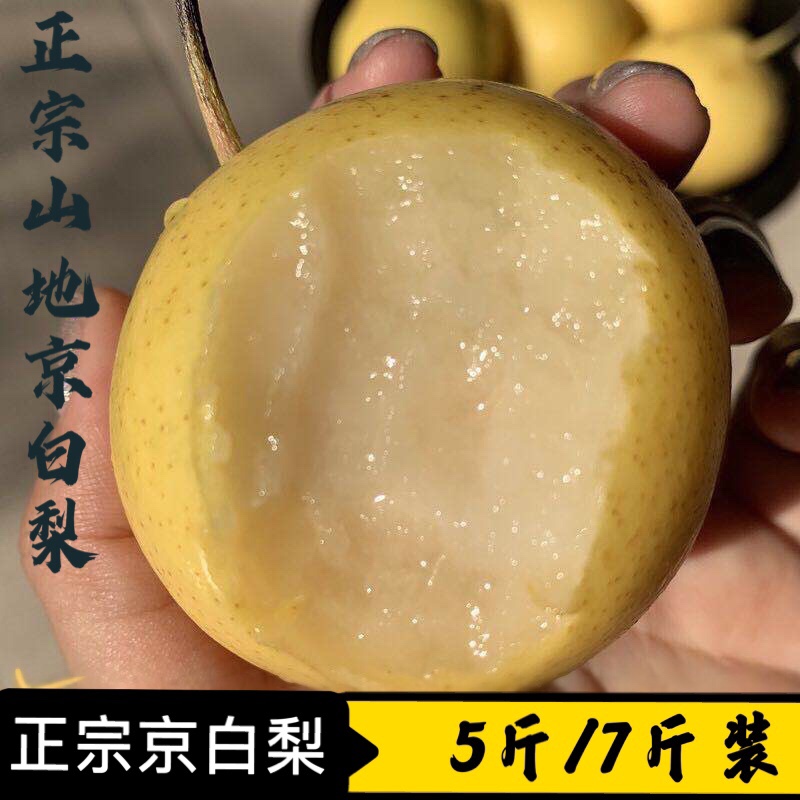 正宗绥中非门头沟京白梨果园直发软糯香甜老人孩子孕妇可吃