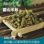 直营店特级霍山米斛枫斗原种基地龙头凤尾草米斛鲜条加工