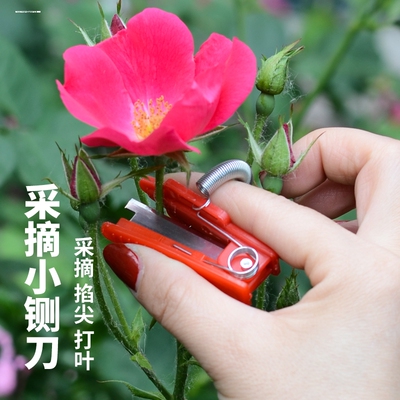 采摘小铡刀手戒指摘菜神器蔬果黄瓜辣椒豆角葡萄掐须打尖打岔去叶