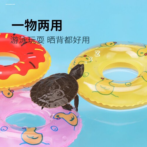 乌龟游泳圈移动晒背台爬台爬宠甜甜圈用品用具龟缸造景装饰漂浮