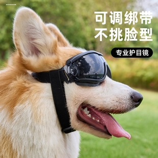 小型犬墨镜狗狗护目镜眼镜泰迪骑行防风镜宠物太阳镜柯基泰迪法斗