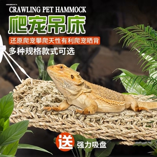 植物编织软床吊床蜥蜴鬃狮松狮树蛙爬虫休息攀爬植物床爬宠