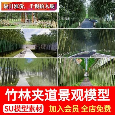 竹林夹道SU模型示范区公园中式景区宅间林间小径道路景观草图大师