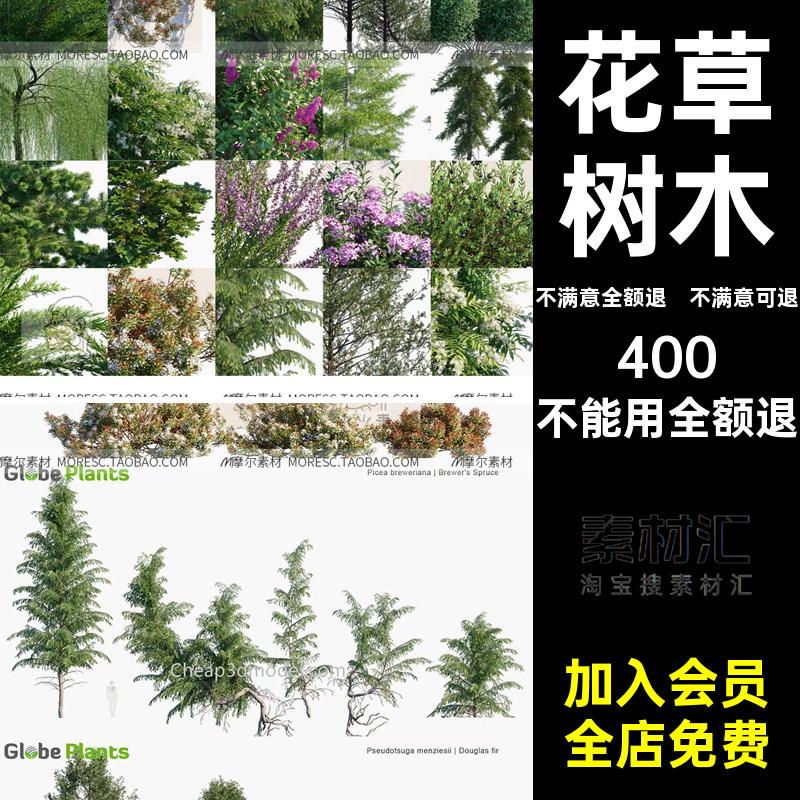 max渲染阿拉斯加庭院绿植花草树木CRAlaskanPlants模型素材格式