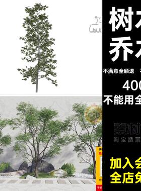 三维低模树SU模型景观sketchup草图室外大师库素材乔木植物树木