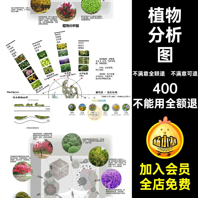 素材分析图搭配变化设计园林景观pspsd种植策略配置植物季相ps