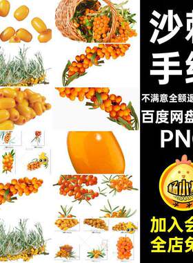 水果背景沙棘元素浆橙色免PNG手绘卡通图片素材透明抠果汁pn