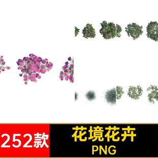 乔灌木植物花卉PNG分层PSD免背景花境平面图252款顶视图俯视无