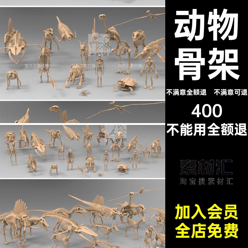 25种不同的动物骨架恐龙骨骼基础鱼骨3D模型C4D Blender素材fbx