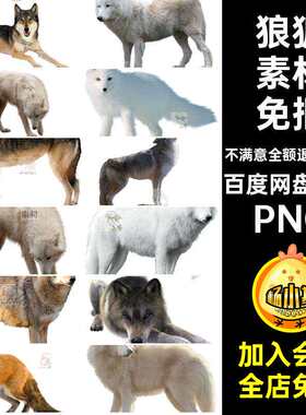 雪狼真实拍狐狸素材场景白后期40款PNG免图片素材合成白狼扣
